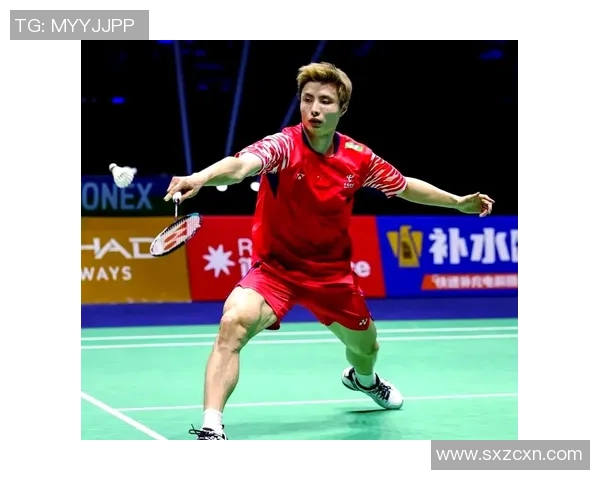 羽毛球顶级赛事回顾与未来展望